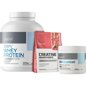 OstroVit 100% Whey Protein | + Creatine + EAA Aminos FREE
