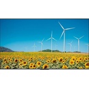 Hisense 50DP30FE