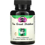 Dragon Herbs Формула за нервната система - The Great Stabilizer - Bupleurum & Dragon Bone, 100 капсули (004482 (448) DH)