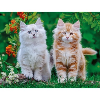 Nathan - Puzzle Siberian Kittens - 2 000 piese