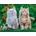 Nathan - Puzzle Siberian Kittens - 2 000 piese