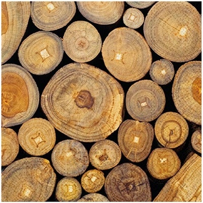 Unipap ubrousek P celorok SDL895000 2011186 591193 33x33 cm
