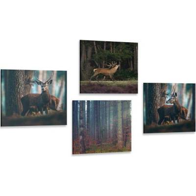 Set obrazů kouzlo lesních zvířat - 4x 40x40