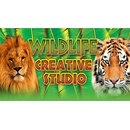 Wildlife Creative Studio