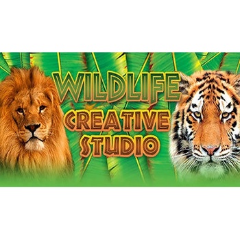 Wildlife Creative Studio