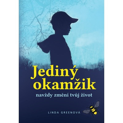 Jediný okamžik navždy změní tvůj život - Linda Green