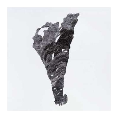 Triangle LP