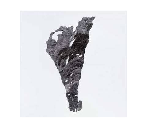 Triangle LP
