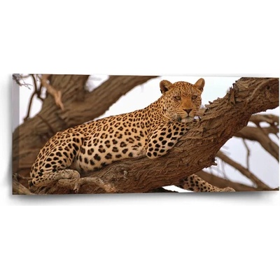 Sablio Obraz Leopard 2 - 110x50 cm