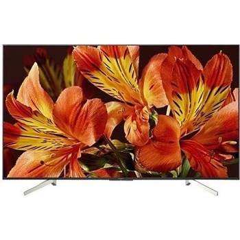 Sony Bravia KD-65XF8505