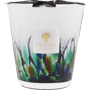 Baobab Collection Rainforest Amazonia Ароматна свещ 16 см (MAX16RFA)