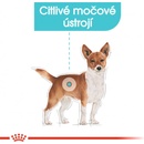 Royal Canin Mini Urinary Care 8 kg