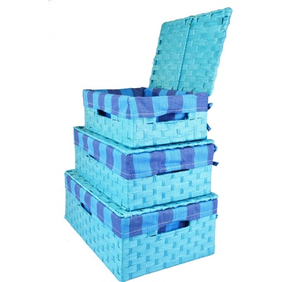 Vingo Úložný box s vekom svetlo modrý 53x33 cm v. 19 cm