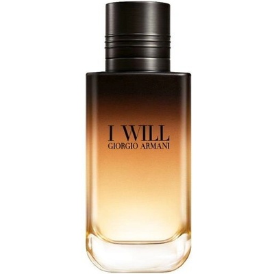 Giorgio Armani I Will parfémovaná voda pánská 100 ml – Hledejceny.cz