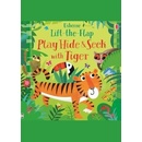 Play Hide and Seek with Tiger - Sam Taplin, Gareth Lucas ilustrácie
