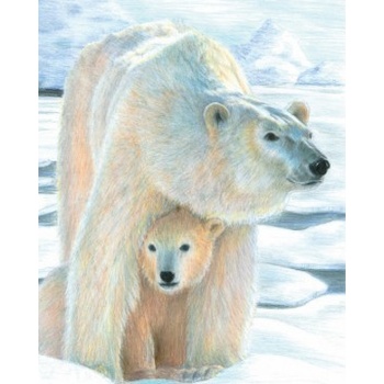 Maľovanie podľa čísel pastelkami Ľadový medveď