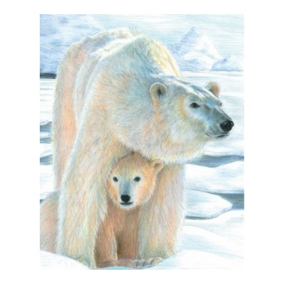 Maľovanie podľa čísel pastelkami Ľadový medveď