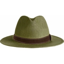 Blaser Straw