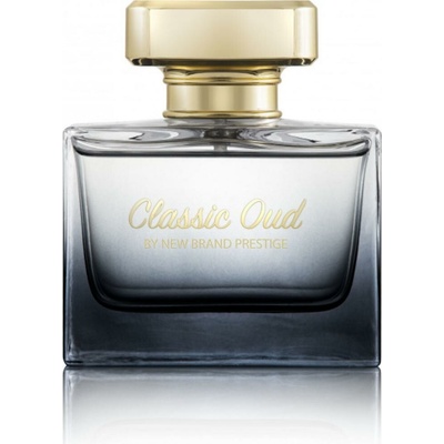 New Brand Perfumes Prestige Classic Oud parfumovaná voda dámska 100 ml