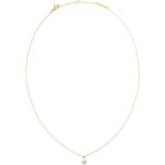 Daniel Wellington Дамски позлатен халс Daniel Wellington DW00401958 Daniel Wellington | Mnogotsveten | ЖЕНИ | UNI