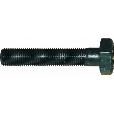 Tažný šroub 19,0 x 75,0 mm