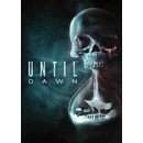 Until Dawn