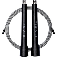 PICSIL ABS FY26