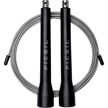 PICSIL ABS FY26