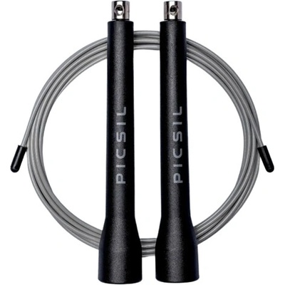 PICSIL ABS FY26