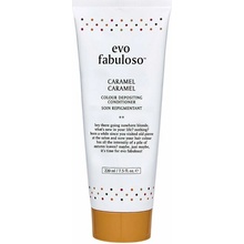 EVO Fabuloso Colour Depositing Conditioner 220 ml, Caramel