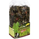Grainless Mix pre morče 650 g JR Farm
