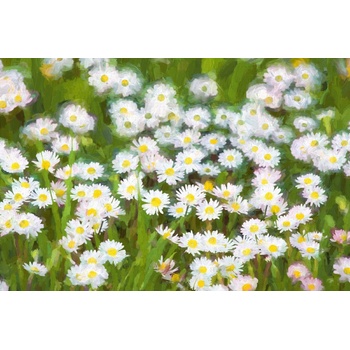 DIMEX ART s. r. o Флизелинов фототапет картина - пролетна поляна 375 x 250 см