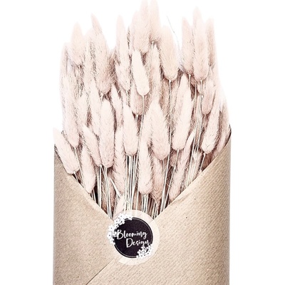 Sušený lagurus (králičí ocásek) sepia rose 45g