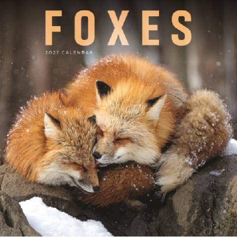 Foxes PFP W CAROUSEL S 2027 od 292 Kč - Heureka.cz