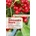 Schisandra-Beere