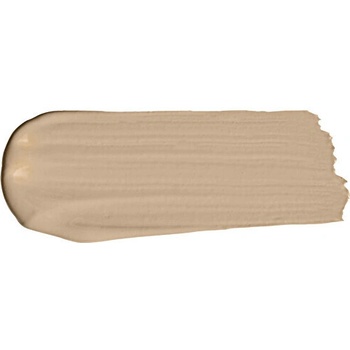 Dolce & Gabbana Matující make-up SPF 20 Everlast Foundation 10N Light Medium 27 ml