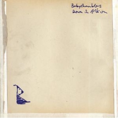 Babyshambles - Down In Albion CD