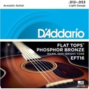 DAddario EFT16