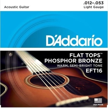 DAddario EFT16