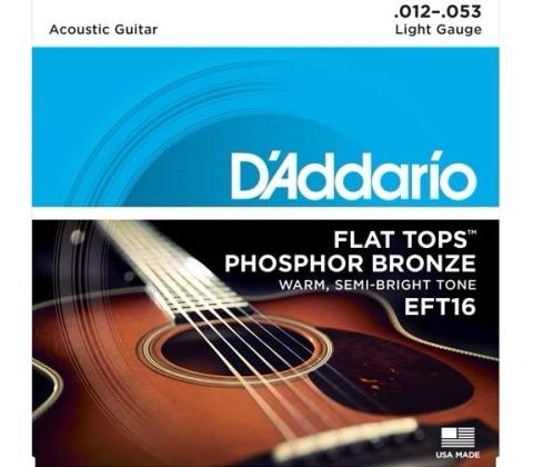 DAddario EFT16
