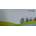 Compatible HP Q2613A