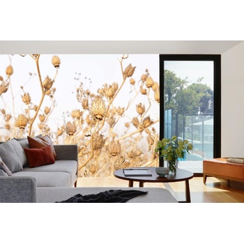 DIMEX ART s. r. o Самозалепваща се флизелинова фототапета страмониум, сухи растения 375 x 250 см