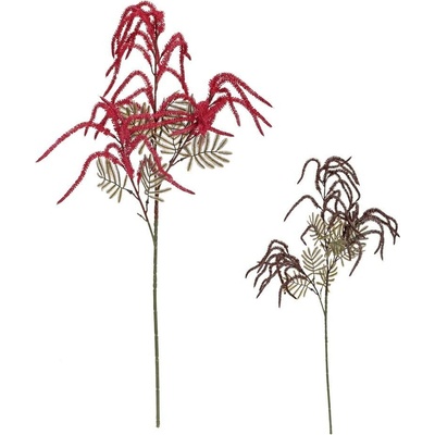 KONÁR AMARANTUS MIX/2F 80CM