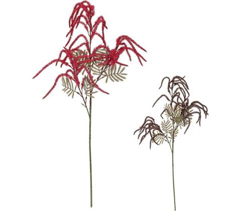 KONÁR AMARANTUS MIX/2F 80CM