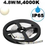 UltraLux Led ЛЕНТА, 4.8w/m, 4000k, 12v dc, smd2835, 60 leds/m, ip65 (ngw283560nw)