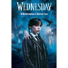 Wednesday: A Novelization of Season Two