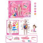 Armtoys ДОКТОРСКИ КОМПЛЕКТ АНАТОМИЯ НА ЧОВЕКА - armtoys