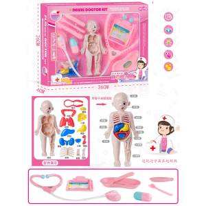 Armtoys ДОКТОРСКИ КОМПЛЕКТ АНАТОМИЯ НА ЧОВЕКА - armtoys