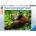 Ravensburger Пъзел Ravensburger от 500 части - Сладка червена панда (17381)