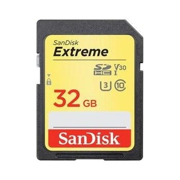 sanDisk SDHC UHS-I U3 32 GB SDSDXVT-032G-GNCIN